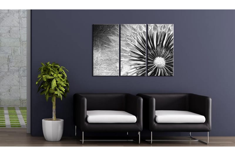Tavla Maskros Svart Och Vitt 120x80 - Artgeist sp. z o. o. - Inredning - Tavlor & konst - Canvastavlor