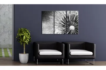 Tavla maskros (svart och vitt) 90x60 - Artgeist sp. z o. o. - Inredning - Tavlor & konst - Canvastavlor