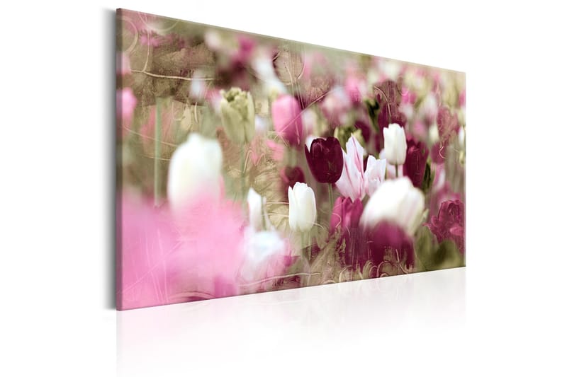 Tavla Meadow of Tulips 120x80 - Artgeist sp. z o. o. - Inredning - Tavlor & konst - Canvastavlor
