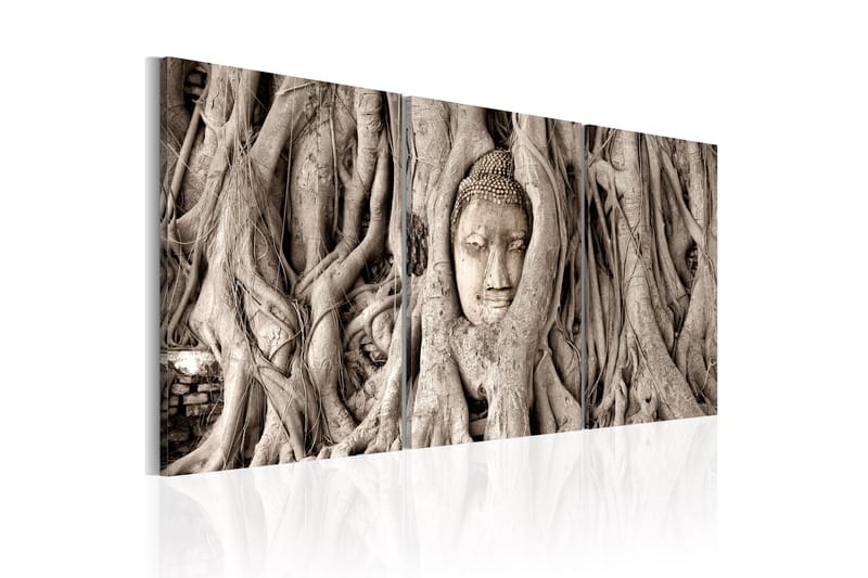 Tavla Meditation's Tree 120x60 - Artgeist sp. z o. o. - Inredning - Tavlor & konst - Canvastavlor