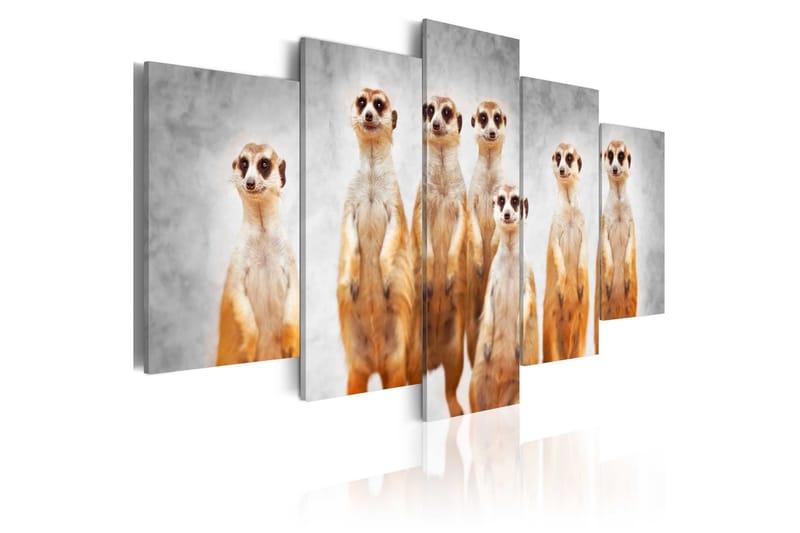 Tavla Meerkats 100x50, Artgeist sp. z o. o.