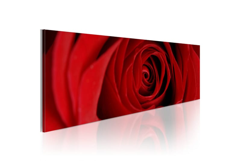 Tavla Midnight Rose 120x40 - Artgeist sp. z o. o. - Inredning - Tavlor & konst - Canvastavlor