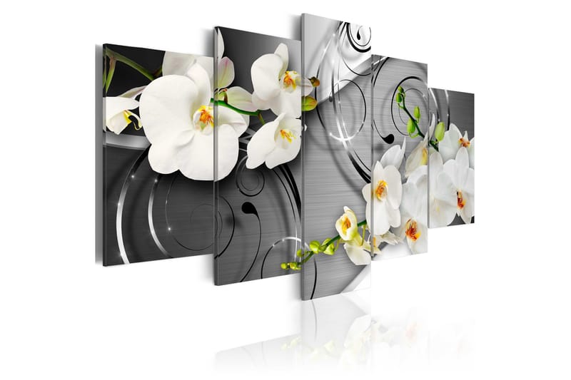 Tavla Milky Orchids 100x50, Artgeist sp. z o. o.