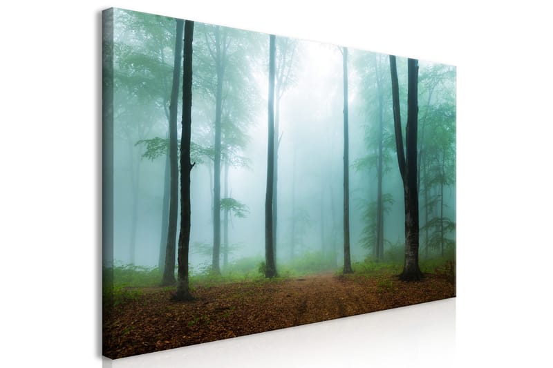 Tavla Misty Morning (1 Part) Wide 120x60 - Artgeist sp. z o. o. - Inredning - Tavlor & konst - Canvastavlor