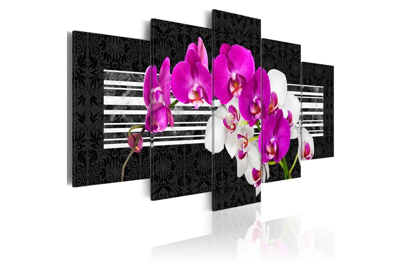Tavla Modest Orchids 200x100, Artgeist sp. z o. o.