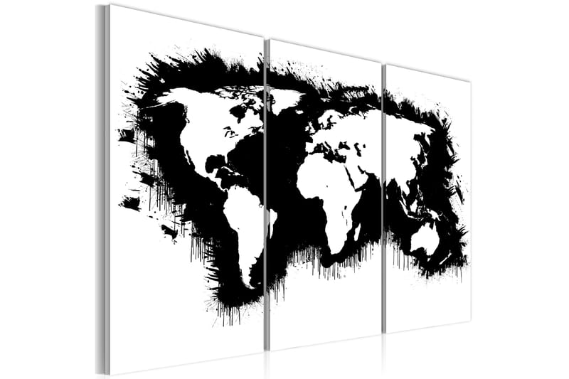 Tavla Monochromatic Världskarta Triptyken 120x80, Artgeist sp. z o. o.