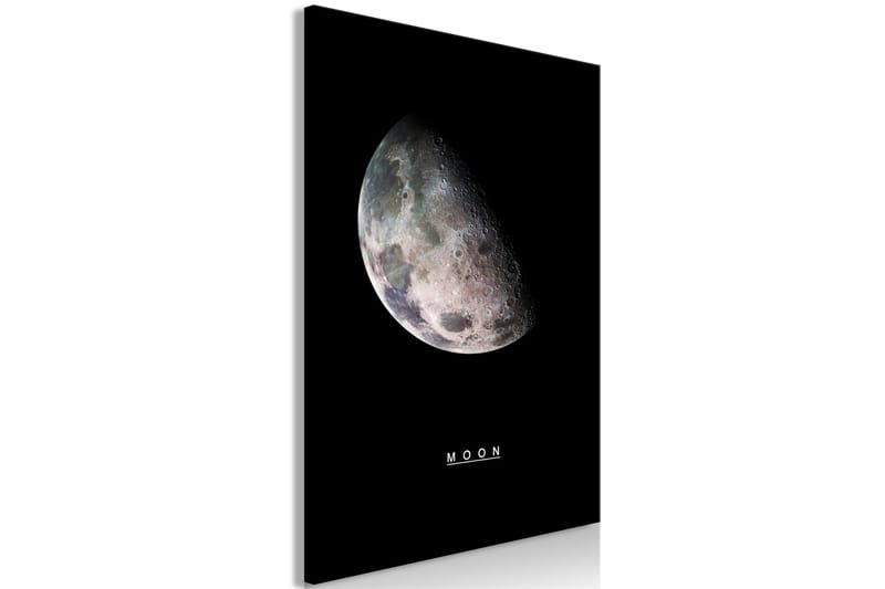 Tavla Moon (1 Part) Vertical 60x90 - Artgeist sp. z o. o. - Inredning - Tavlor & konst - Canvastavlor