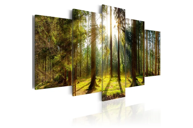 Tavla Morning Awakening 100x50, Artgeist sp. z o. o.