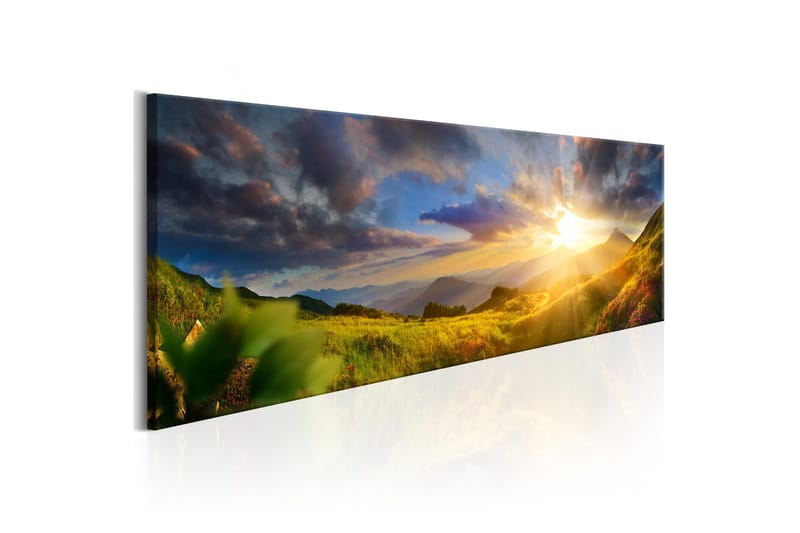 Tavla Morning Enchantment 120x40 - Artgeist sp. z o. o. - Inredning - Tavlor & konst - Canvastavlor