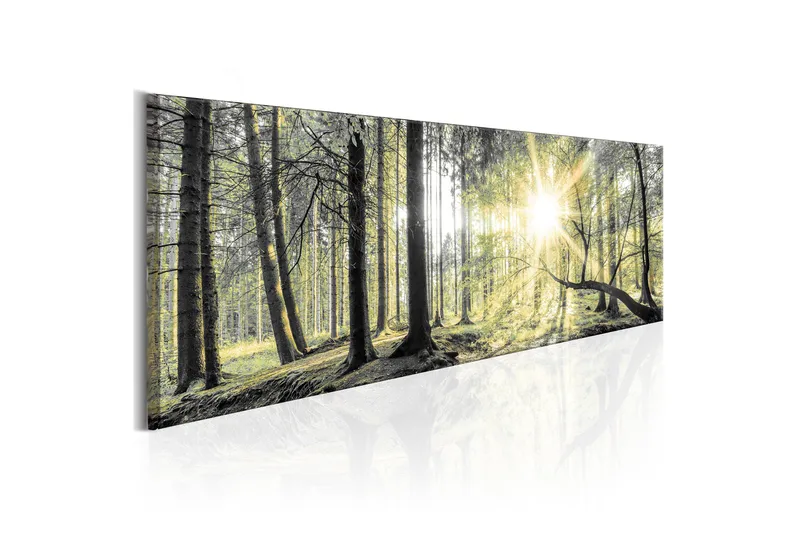 Tavla Morning Forest 120x40 cm, undefined
