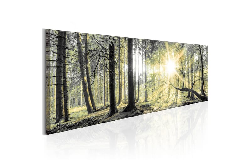 Tavla Morning Forest 150x50 - Artgeist sp. z o. o. - Inredning - Tavlor & konst - Canvastavlor