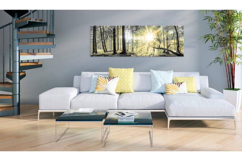 Tavla Morning Forest 150x50 - Artgeist sp. z o. o. - Inredning - Tavlor & konst - Canvastavlor