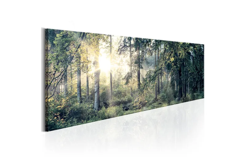 Tavla Morning Magic 150x50, Artgeist sp. z o. o.