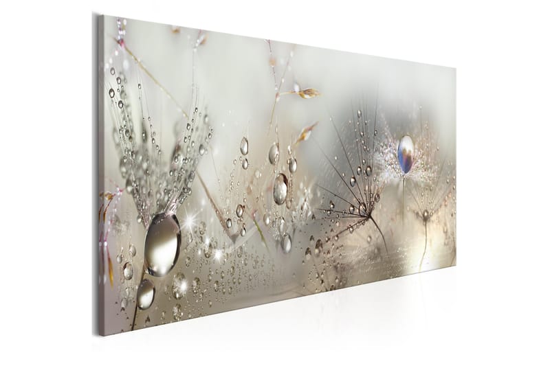 Tavla Morning Song 150x50 - Artgeist sp. z o. o. - Inredning - Tavlor & konst - Canvastavlor