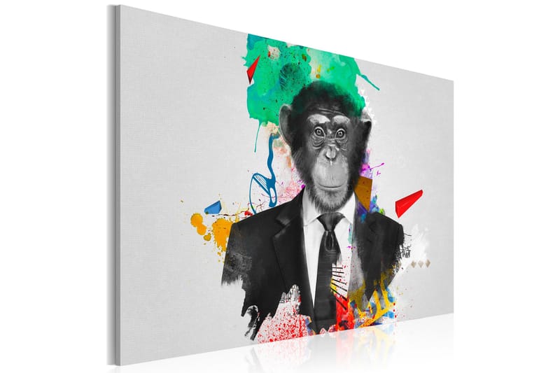 Tavla Mr Monkey 90x60, Artgeist sp. z o. o.