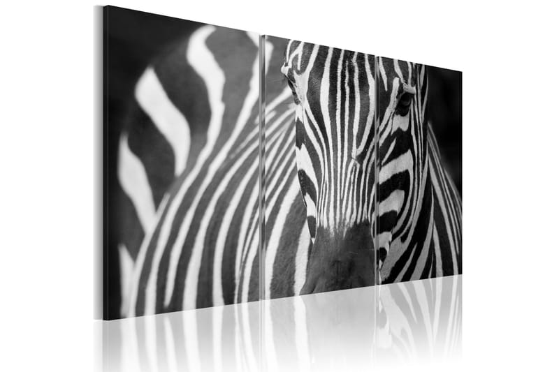 Tavla Mrs Zebra 60x40, Artgeist sp. z o. o.