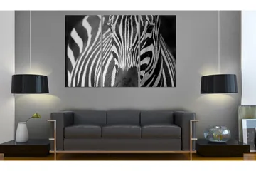 Tavla Mrs Zebra 90x60 - Artgeist sp. z o. o. - Inredning - Tavlor & konst - Canvastavlor