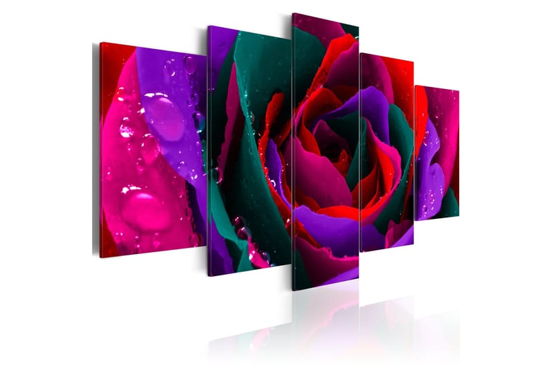 Tavla Multicoloured Rose 200x100, Artgeist sp. z o. o.