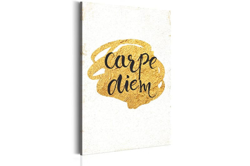 Tavla My Home: Carpe Diem 80x120 cm, undefined