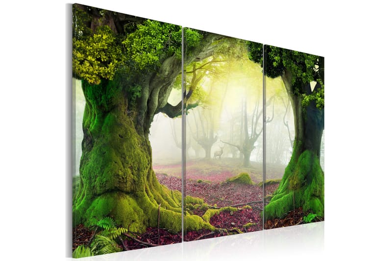 Tavla Mysterious Forest Triptych 120x80, Artgeist sp. z o. o.