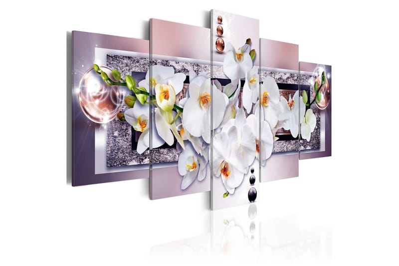 Tavla Mysterious Orchid 100x50, Artgeist sp. z o. o.