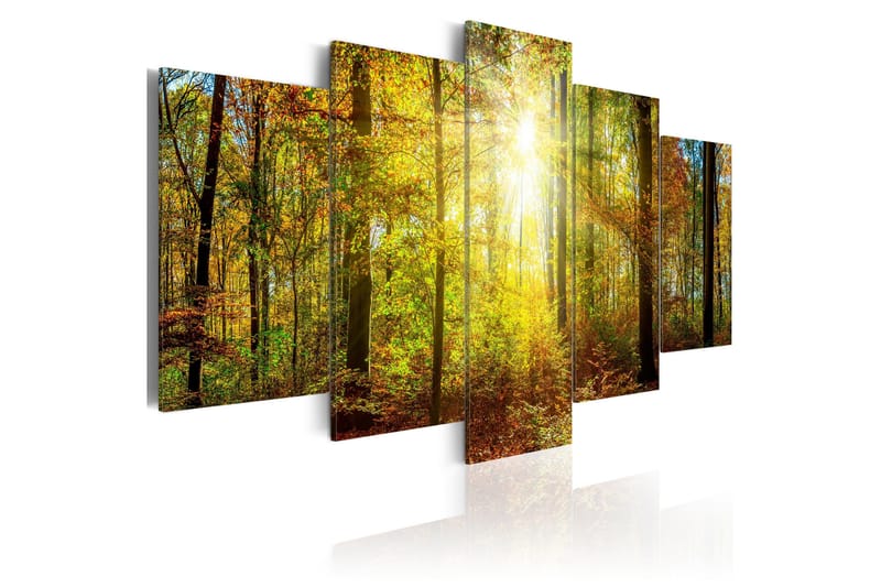 Tavla Mystical Forest 100x50, Artgeist sp. z o. o.
