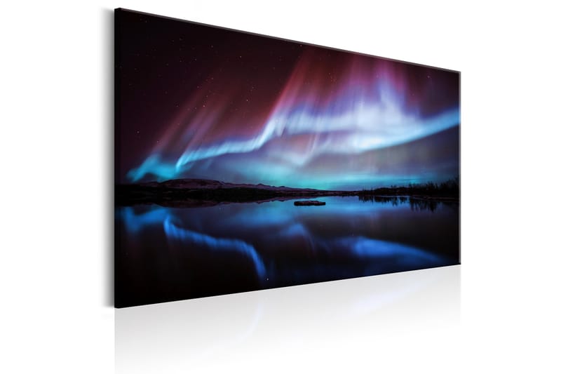 Tavla Night Light 120x80, Artgeist sp. z o. o.
