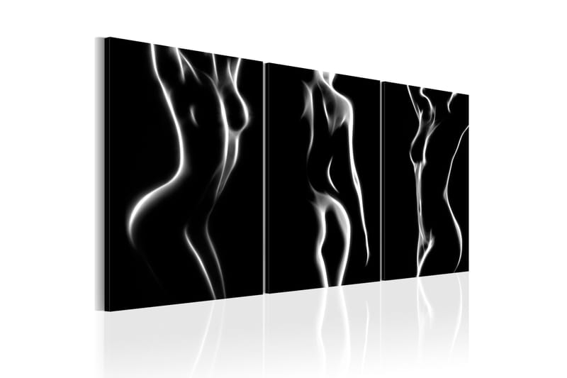 Tavla Night of Senses 60x30 - Artgeist sp. z o. o. - Inredning - Tavlor & konst - Canvastavlor