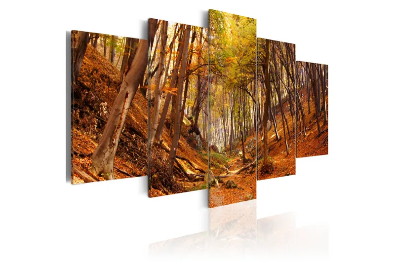 Tavla Orange Autumn 100x50, Artgeist sp. z o. o.