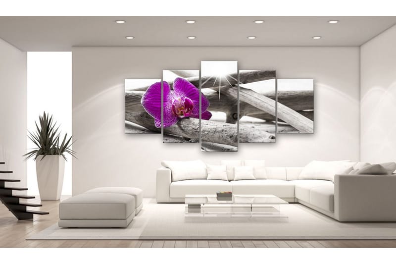 Tavla Orchid On Beach 100x50 - Artgeist sp. z o. o. - Inredning - Tavlor & konst - Canvastavlor