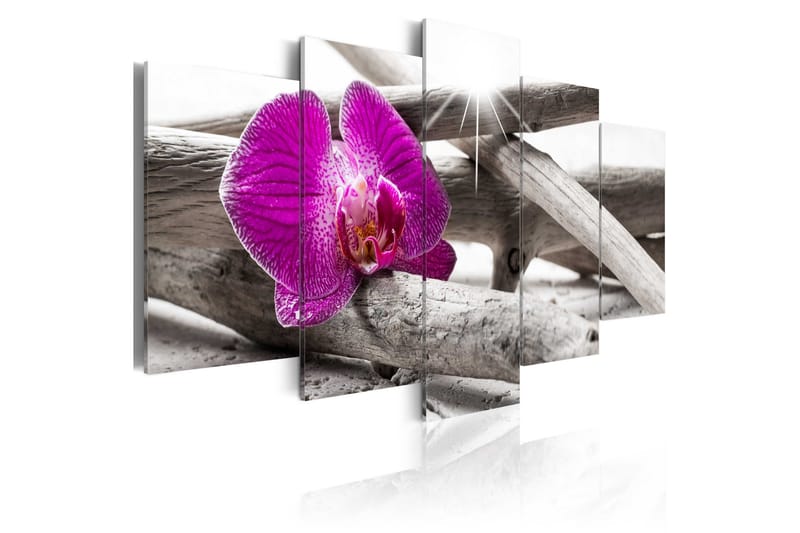 Tavla Orchid On Beach 200x100, Artgeist sp. z o. o.