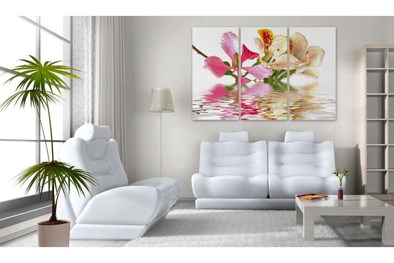 Tavla Orchid With Colorful Spots 60x40 - Artgeist sp. z o. o. - Inredning - Tavlor & konst - Canvastavlor