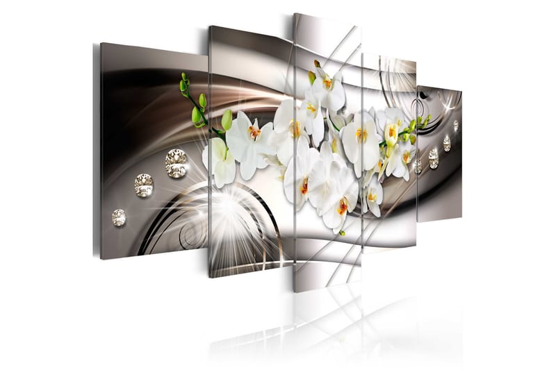 Tavla Orchid With Diamonds 100x50, Artgeist sp. z o. o.