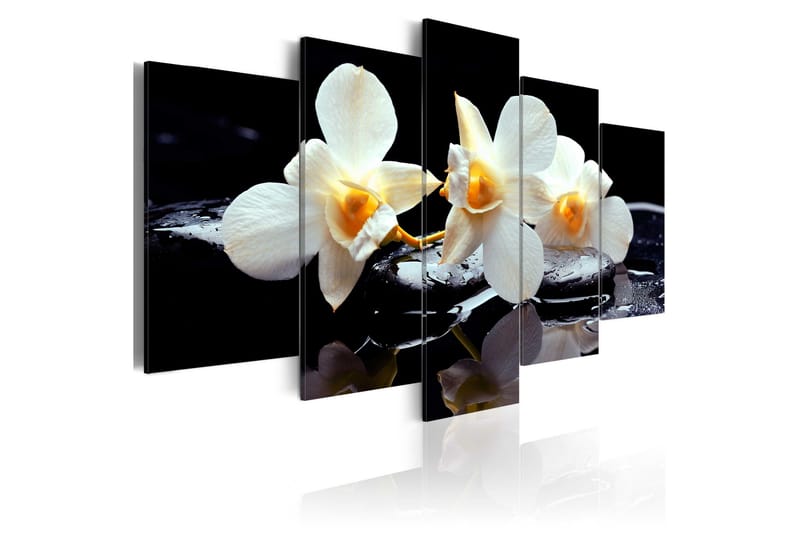 Tavla Orchids With Orange Accent 200x100, Artgeist sp. z o. o.