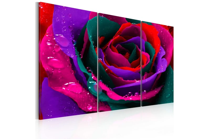 Tavla Rainbow-Färgade Rose 120x80, Artgeist sp. z o. o.