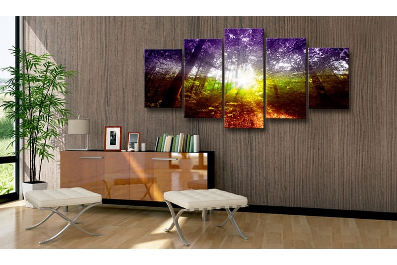 Tavla Rainbow Forest 100x50 - Artgeist sp. z o. o. - Inredning - Tavlor & konst - Canvastavlor
