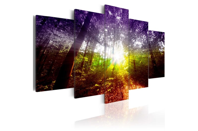 Tavla Rainbow Forest 100x50, Artgeist sp. z o. o.