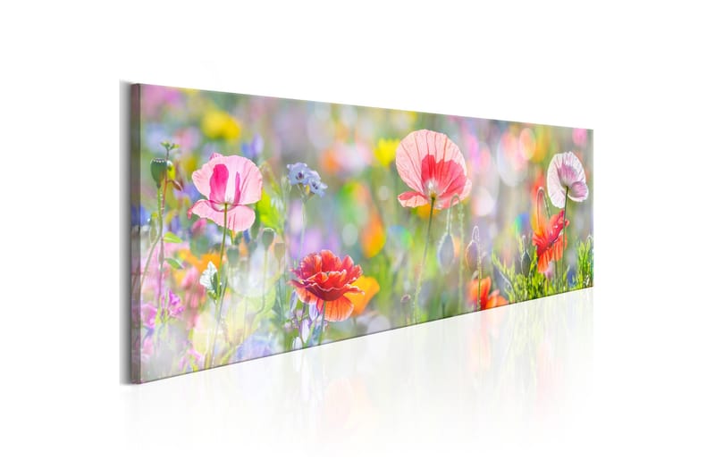 Tavla Rainbow of Morning Poppies 120x40 - Inredning - Tavlor & konst - Canvastavlor
