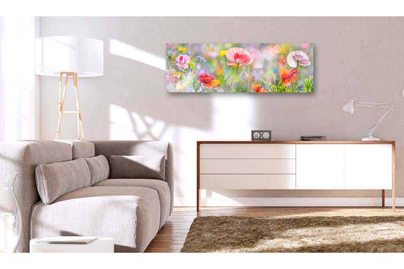 Tavla Rainbow of Morning Poppies 120x40, undefined