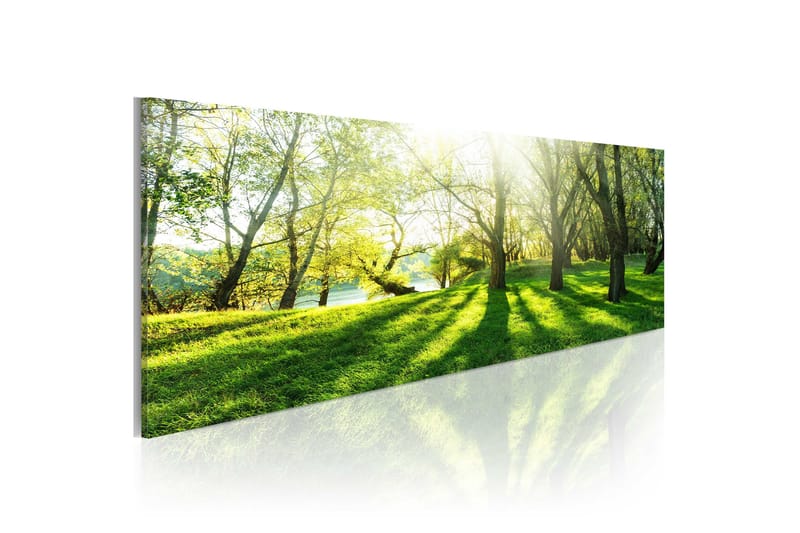 Tavla Rays Of Sunshine 120x40, Artgeist sp. z o. o.