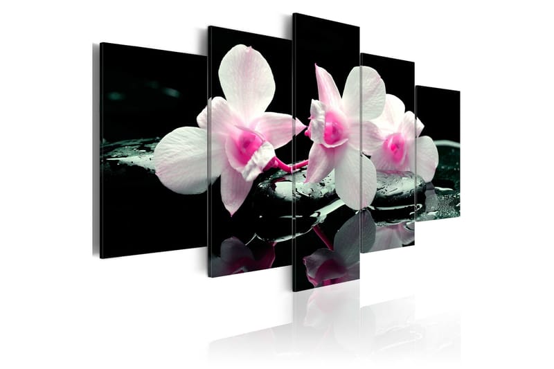 Tavla Rest Of Orchids 100x50, Artgeist sp. z o. o.