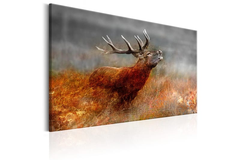 Tavla Roaring Deer 120x80 - Artgeist sp. z o. o. - Inredning - Tavlor & konst - Canvastavlor