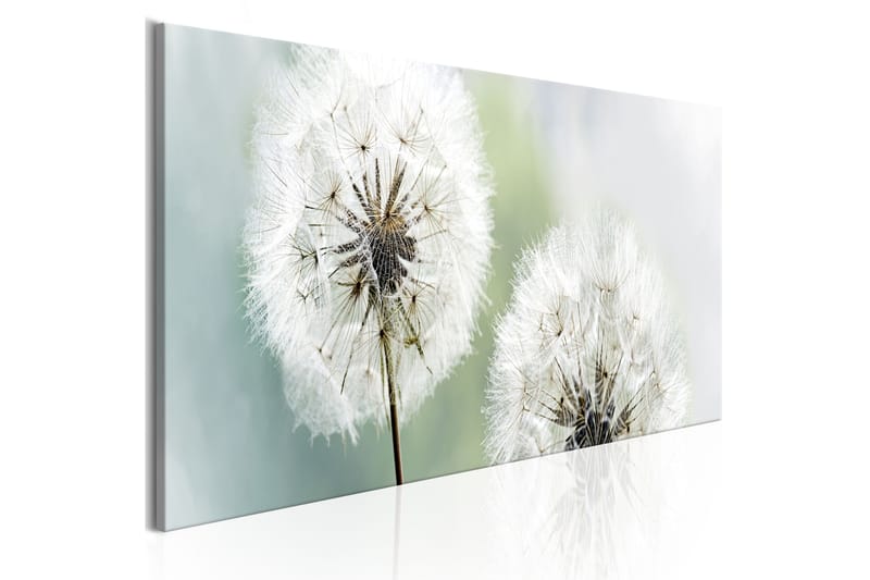 Artgeist sp. z o. o. Tavla Romantic Summer 135x45