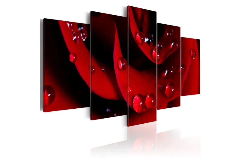 Tavla Rose With Dew 100x50, Artgeist sp. z o. o.