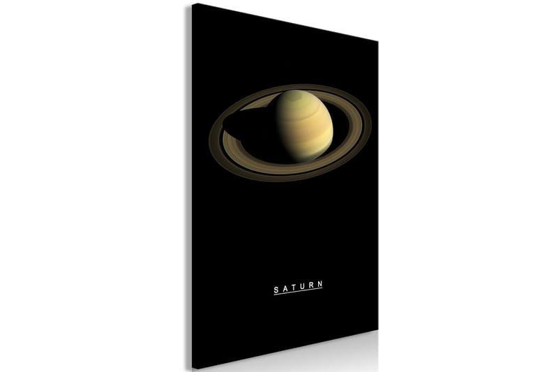 Tavla Saturn (1 Part) Vertical 40x60 - Artgeist sp. z o. o. - Inredning - Tavlor & konst - Canvastavlor