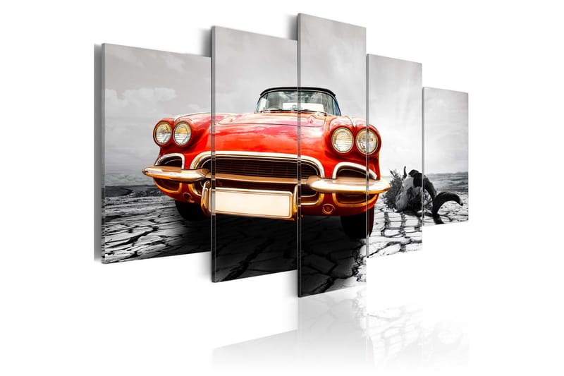 Tavla Scarlet Arrow 100x50, Artgeist sp. z o. o.