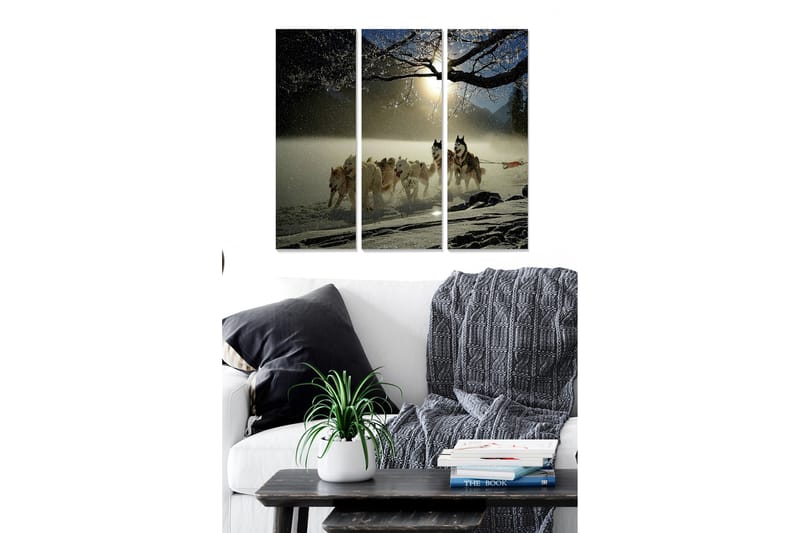 Tavla Scenic 3-pack Flerfärgad - 20x50 cm - Inredning - Tavlor & konst - Canvastavlor