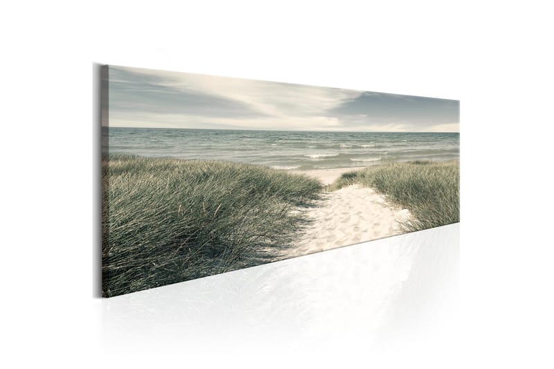 Tavla Secrets Of The Sea 150x50, Artgeist sp. z o. o.