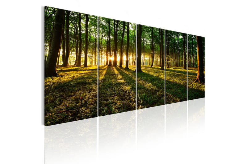 Tavla Shade Of Trees 200x80 - Artgeist sp. z o. o. - Inredning - Tavlor & konst - Canvastavlor