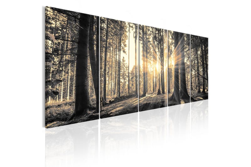 Tavla Shadow Guards 225x90, Artgeist sp. z o. o.